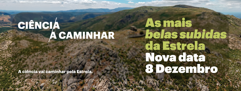 Banner-site-01.11.2025-Monte-São-Tiago.png