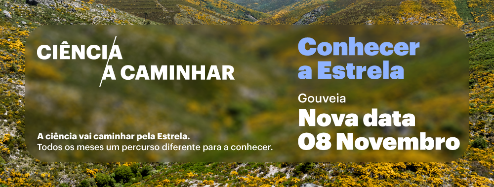 Banner-site-08.11.2025-Gouveia.png