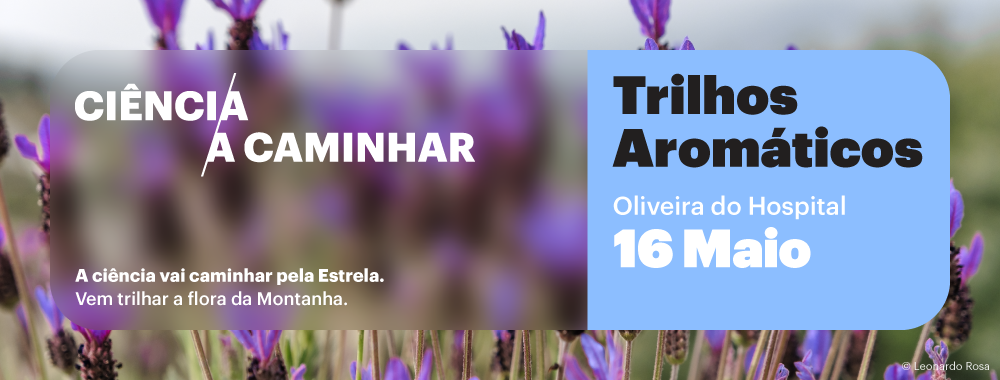 Banner-site-16.05.2026-Oliveira-do-Hospital.png