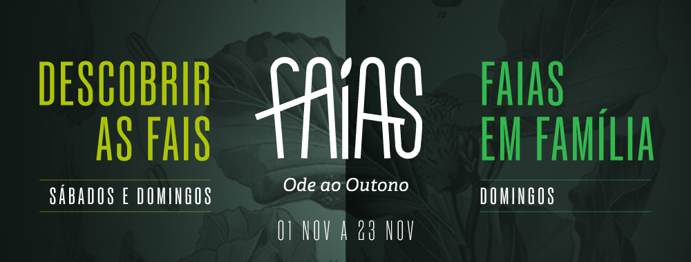 Banner-site-Descobrir-as-Faias-e-Faias-em-Família.png
